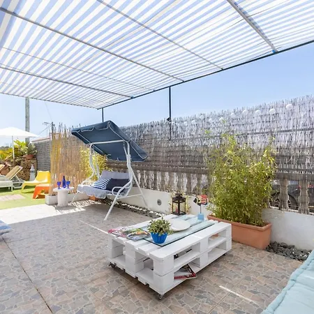 Bambus House Blue Daire *